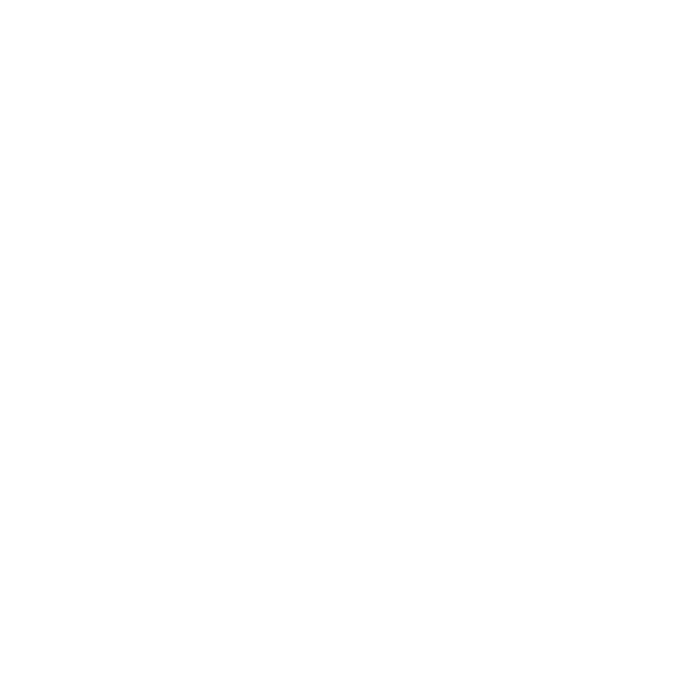 ELMES White Logo